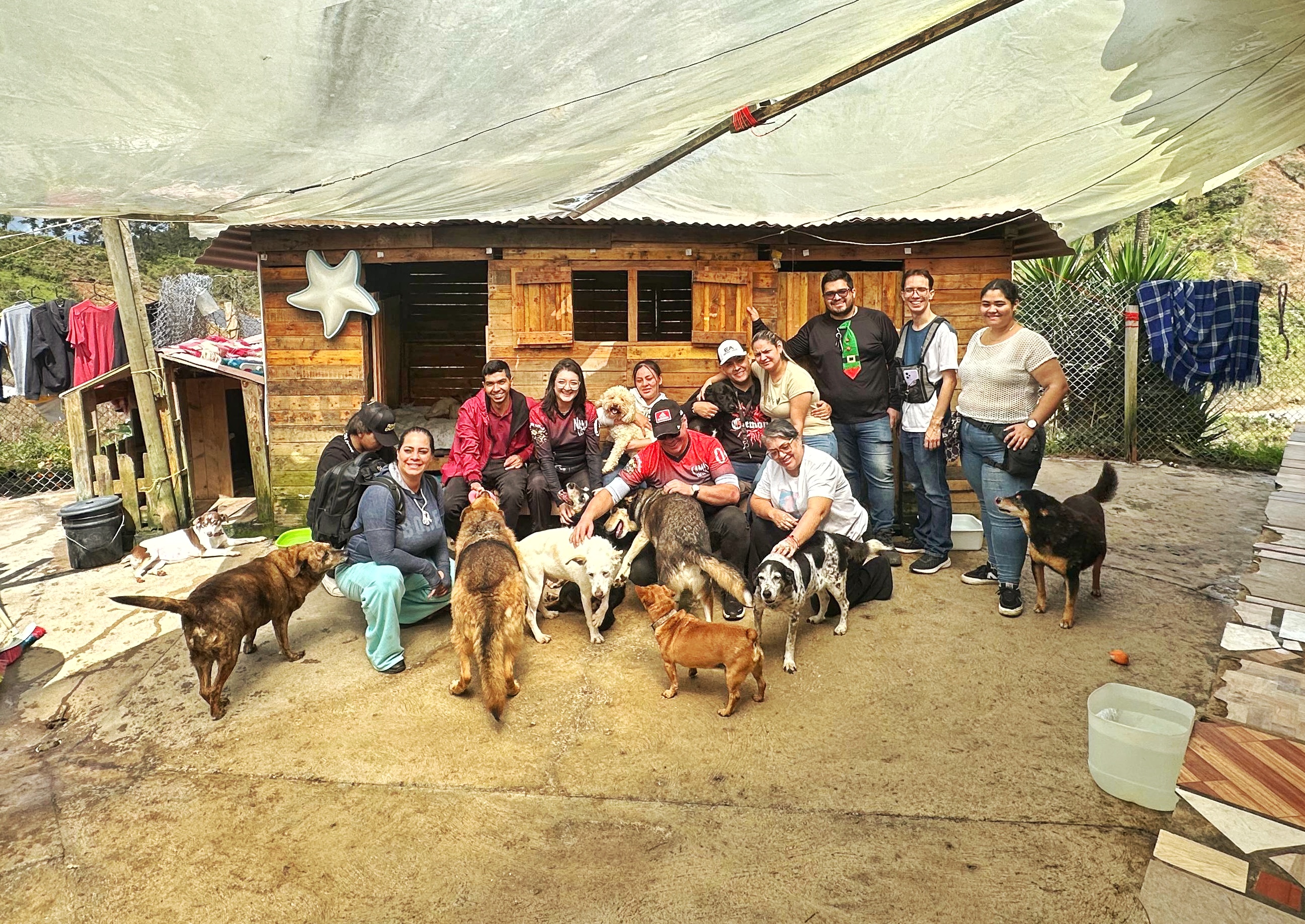 FUNDACIÓN ALMANIMAL (Concepción Ant) 2025